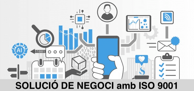 Consultoria ISO 9001 a solució de negoci