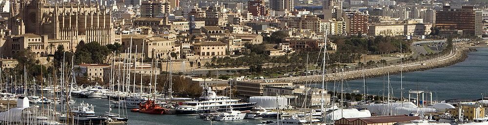 Consultoría OEA en Mallorca