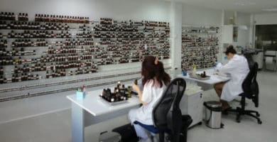 ISO 9001 en aromas y fragancias a Dauper