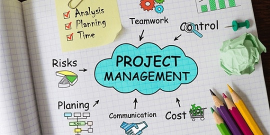 gestor de projectes