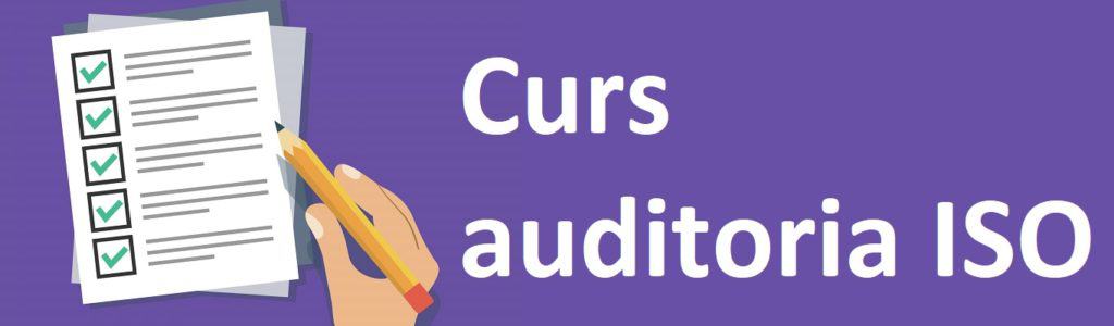 Curs auditoria interna