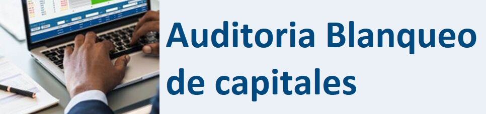 Auditoria blanqueo de capitales